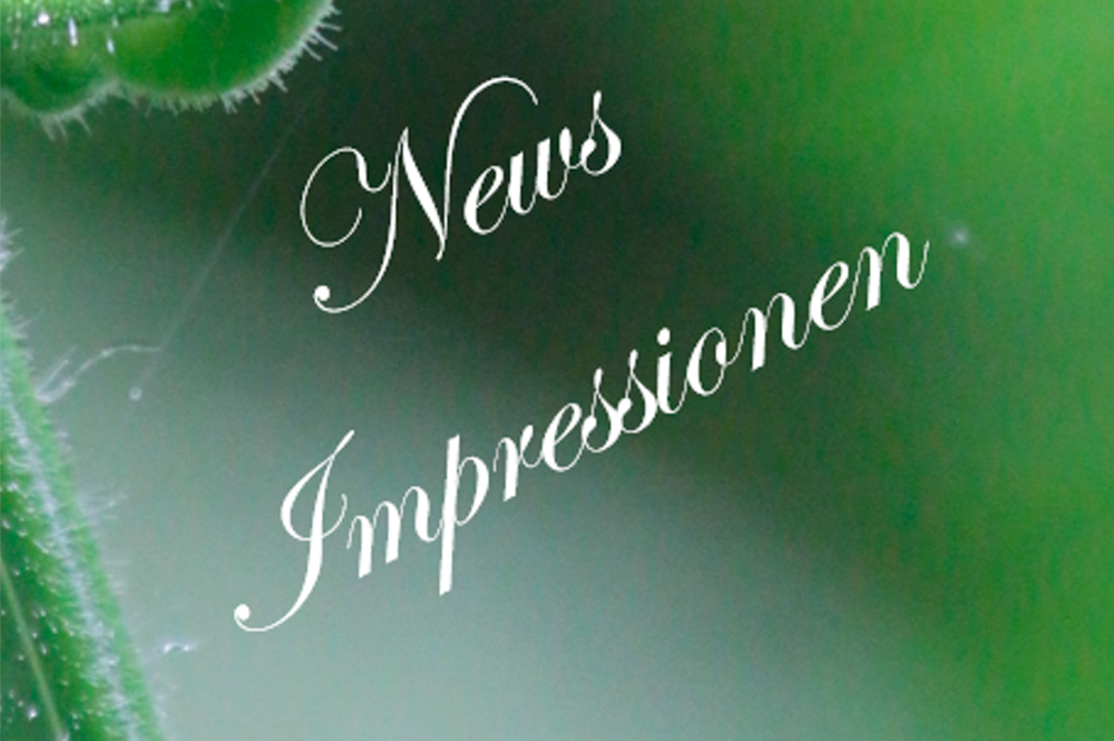 News/Impressionen