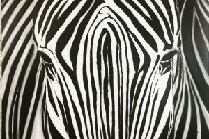 Zebra2